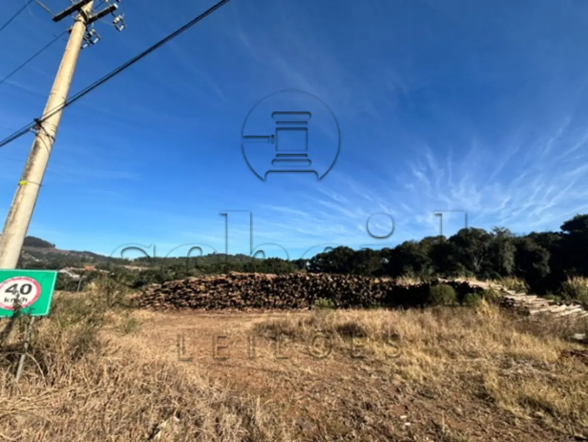 LOTE 002 - Área de 48.750,00m², sem benfeitorias, situada na Linha Dr. Carlos Barbosa, município de Anta Gorda/RS