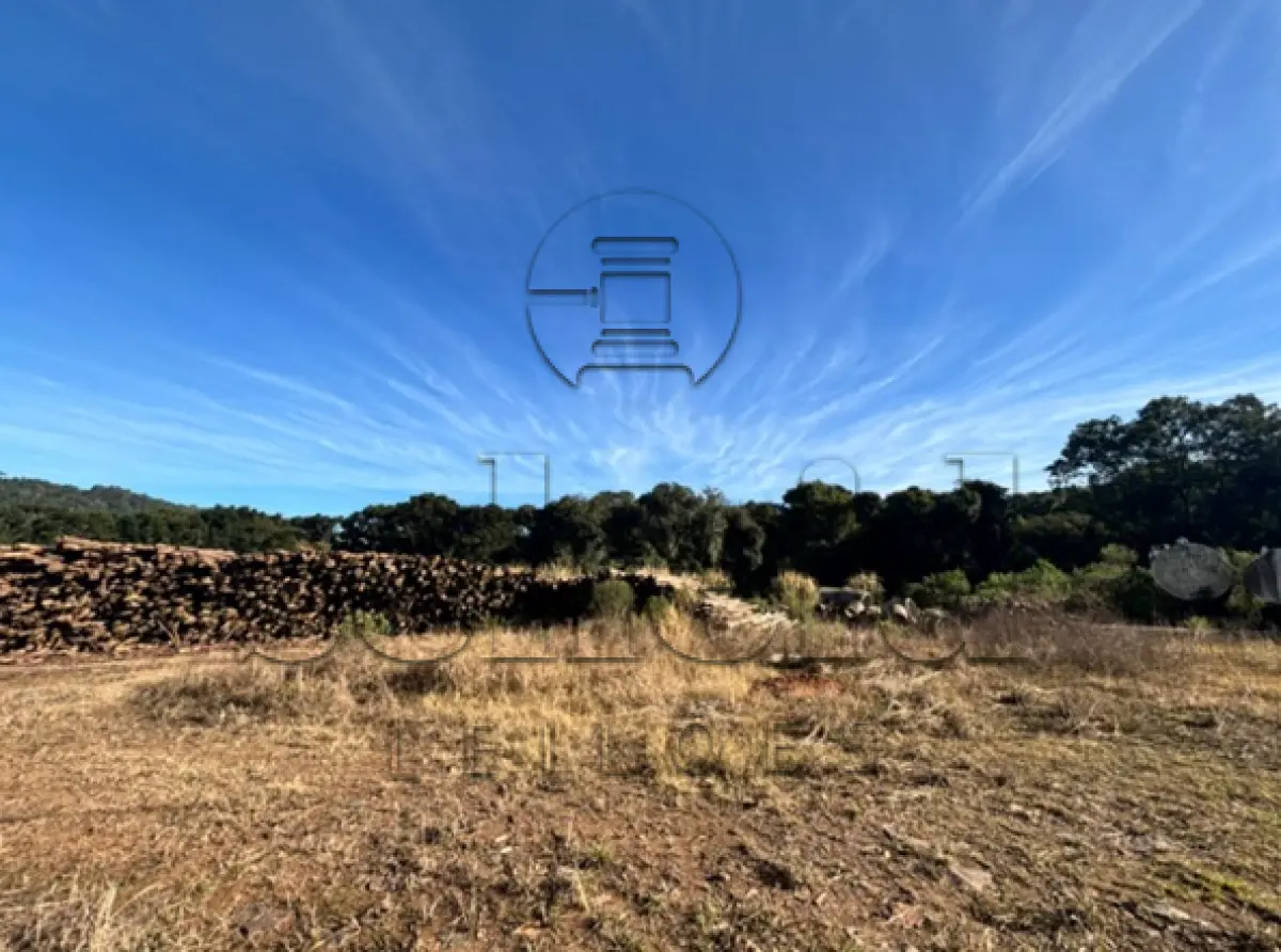LOTE 002 - Área de 48.750,00m², sem benfeitorias, situada na Linha Dr. Carlos Barbosa, município de Anta Gorda/RS