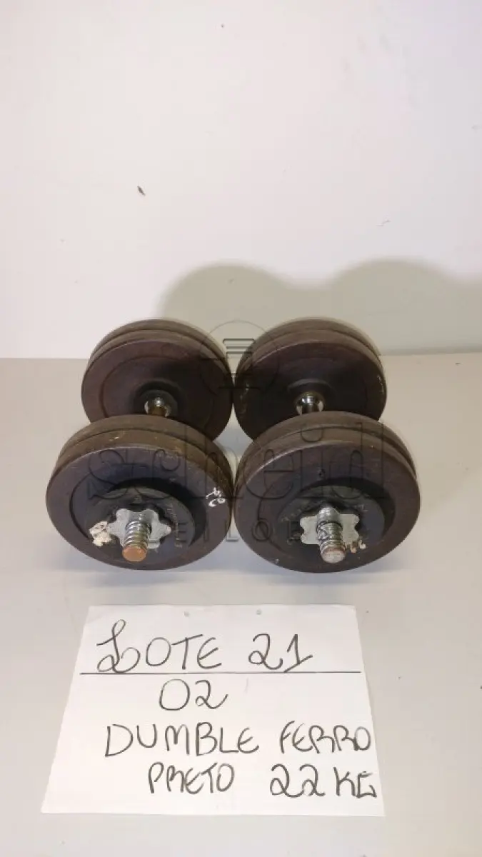 LOTE 021 - 02 DUMBBELL FERRO PRETO 22KG C/4 ANILHAS