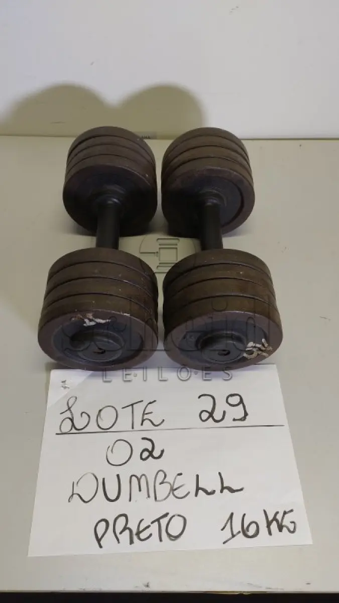 LOTE 029 - 02 DUMBBELL 16 KG PRETO