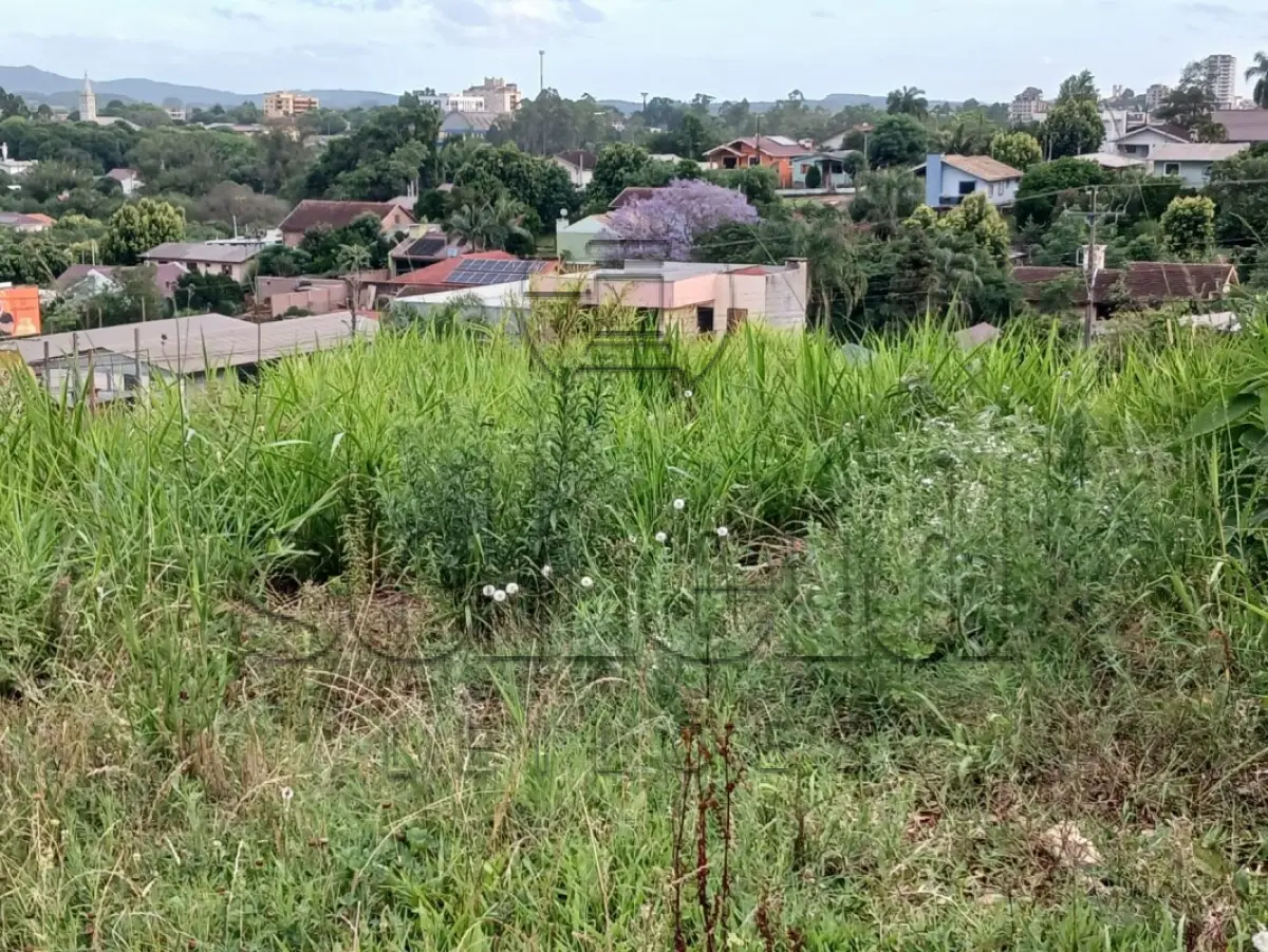 LOTE 002