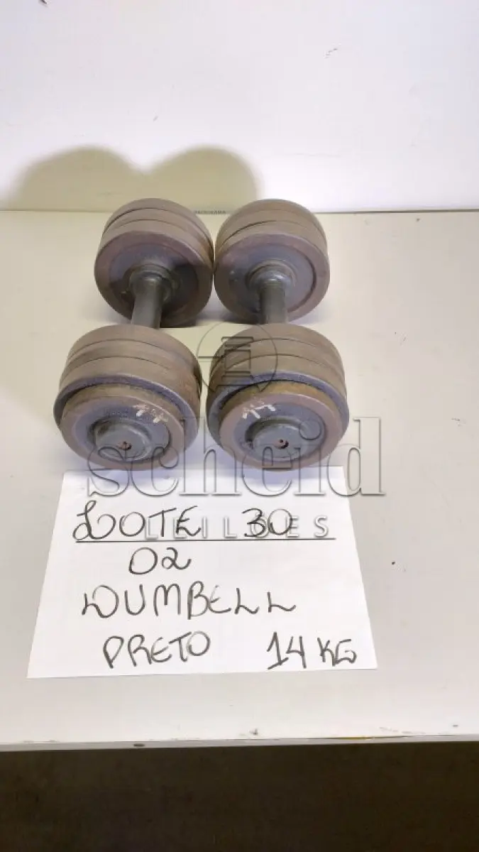 LOTE 030 - 02 DUMBBELL 14 KG PRETO