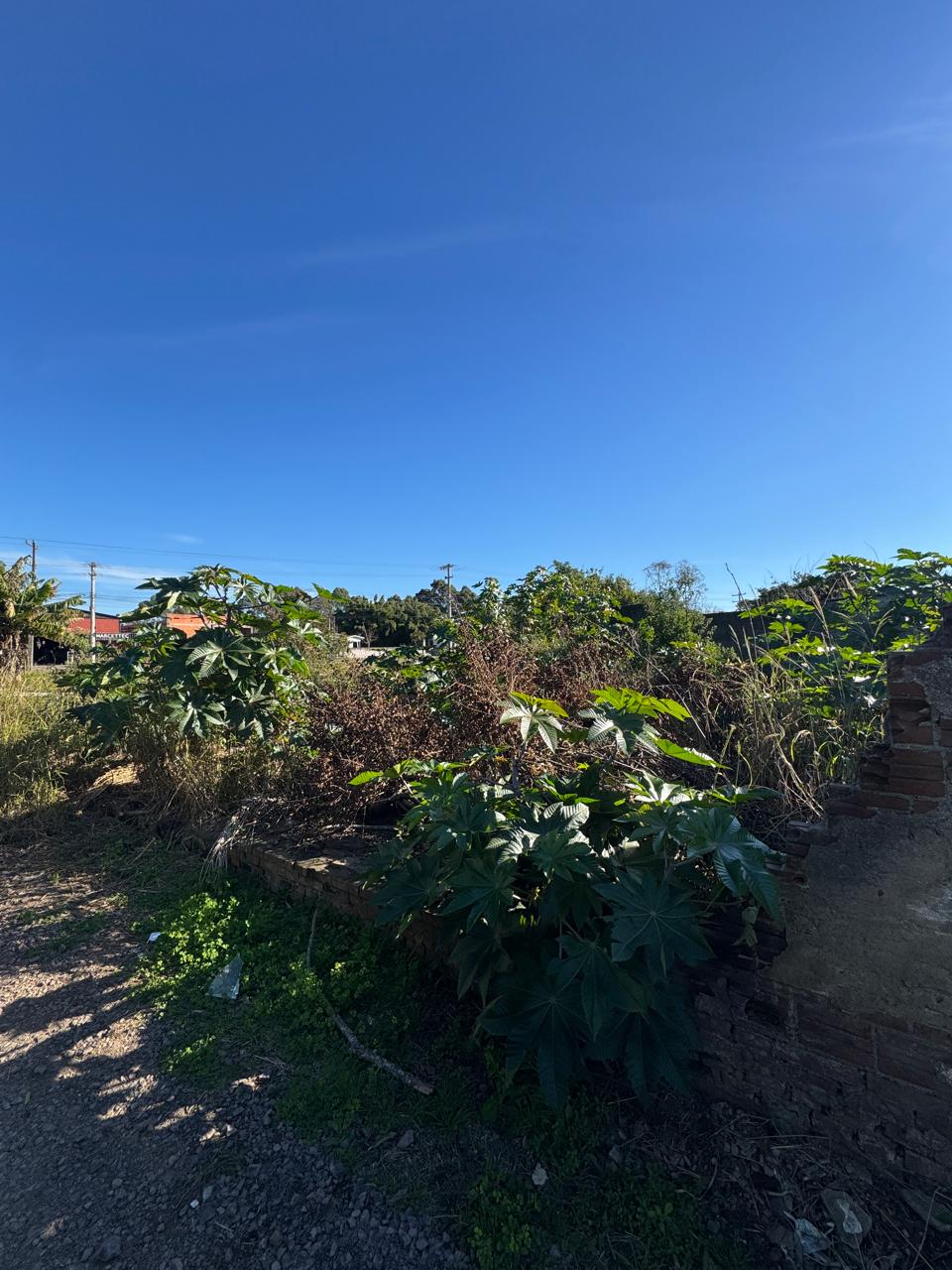 LOTE 002 - Área de 585,44m², sem benfeitorias, localizada na Rua 166, bairro industrial, Venâncio Aires/RS